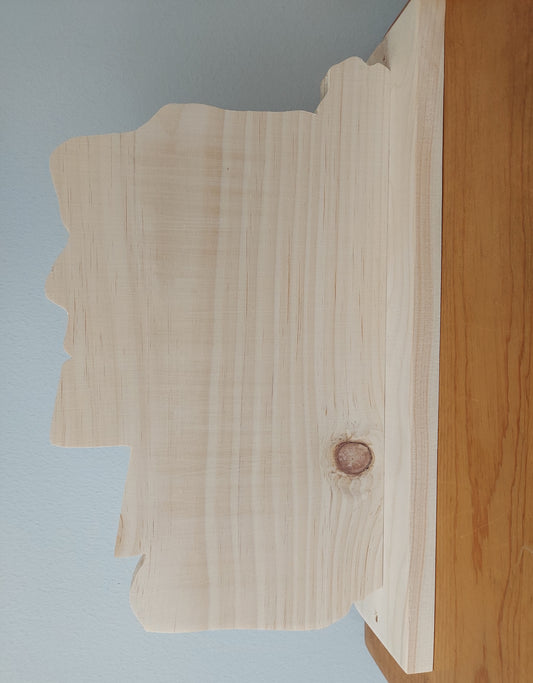 Old Man of the Mountain New Hampshire