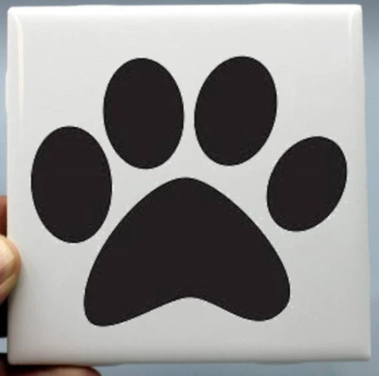 Dog Coasters