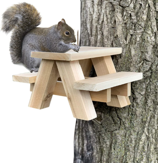 Squirrel Picnic Table
