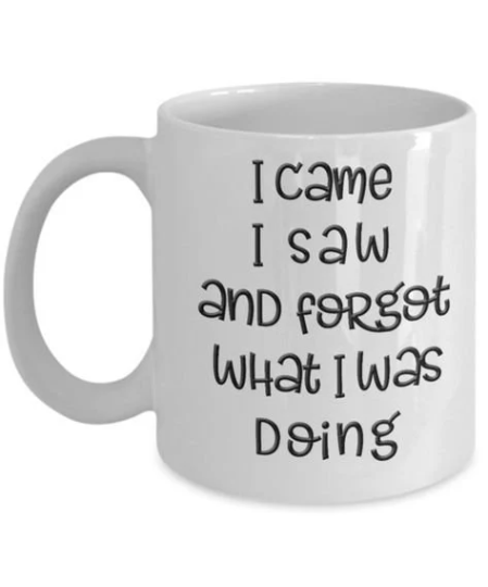 I Came I Saw Mug